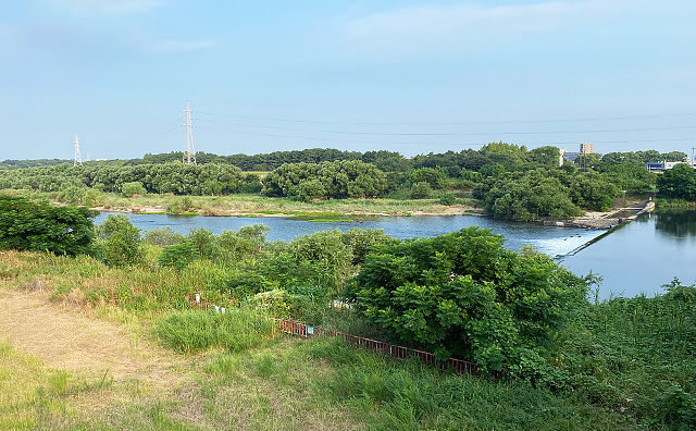 写真2：庄内川の河原