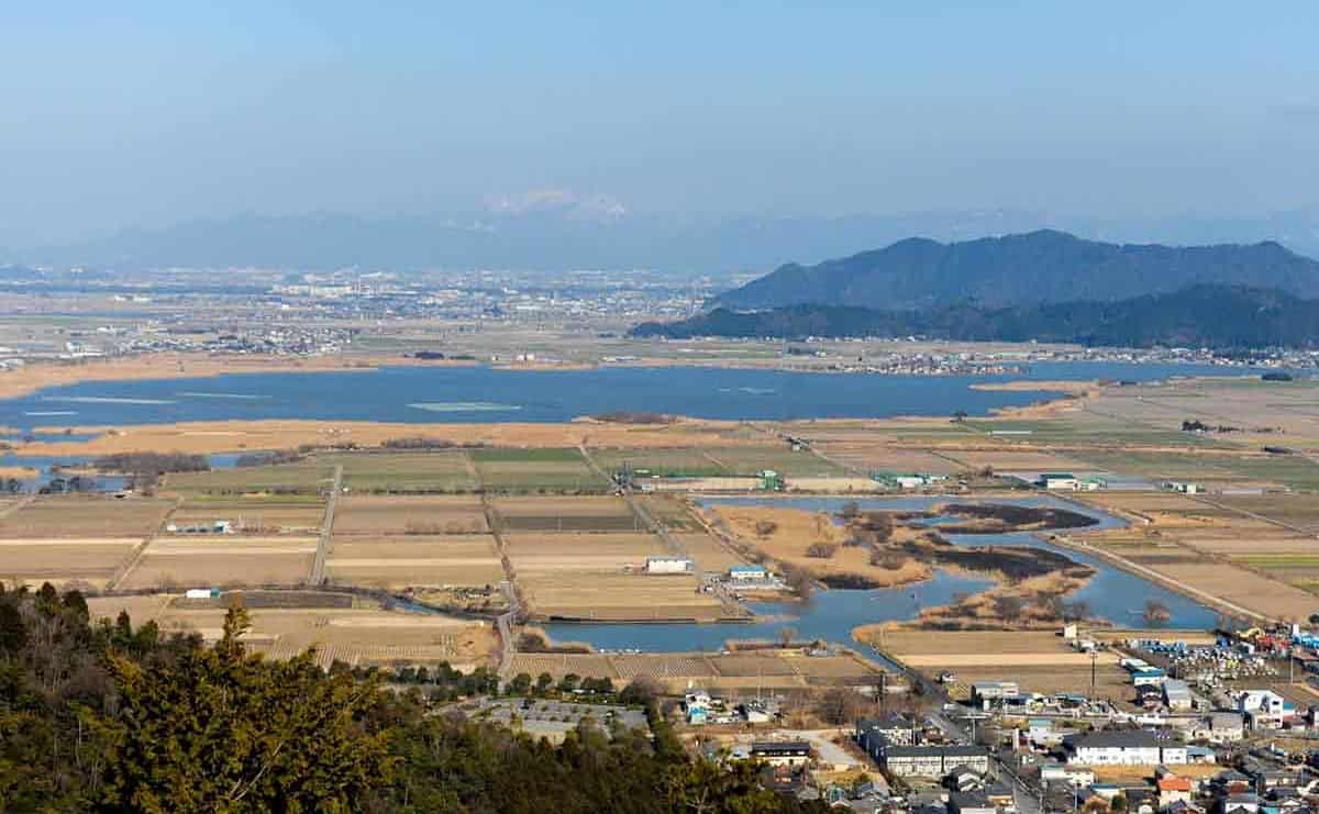 琵琶湖東岸近くの八幡山から西の湖と、ヨシ焼き後の水郷地帯