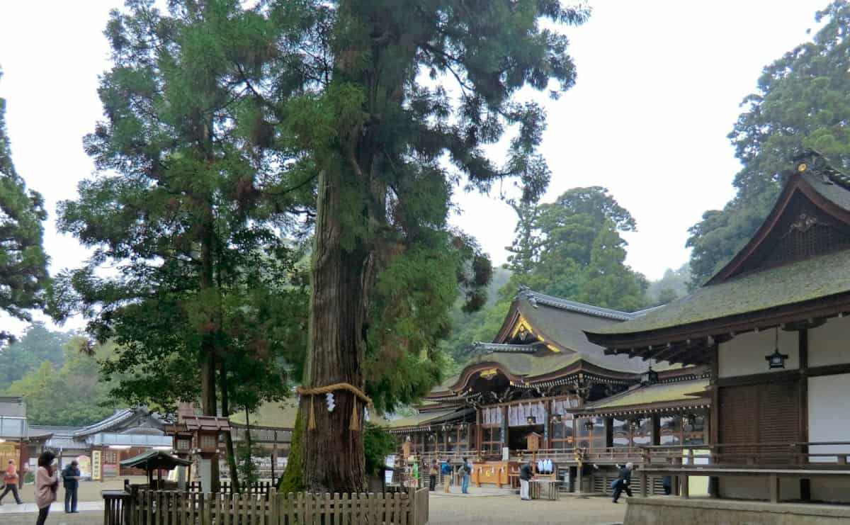 大神神社