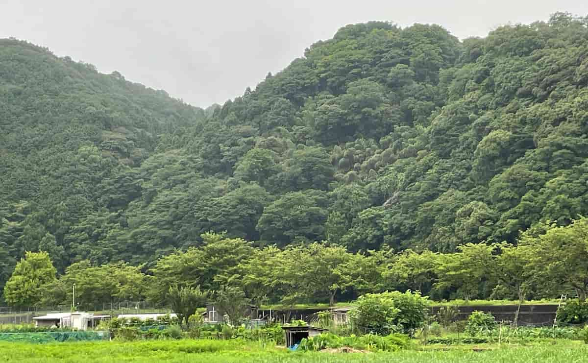 七尾城跡