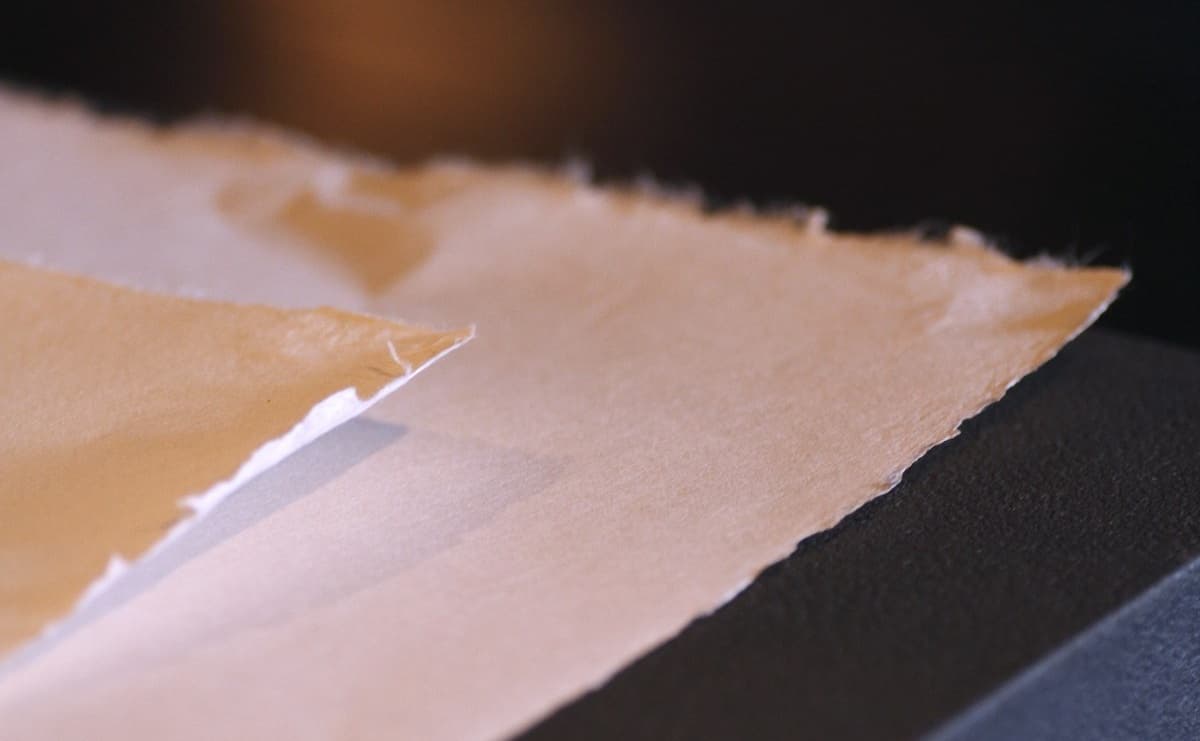 越前和紙の歴史がスゴイ！　越前鳥の子紙、ユネスコ無形文化遺産に 