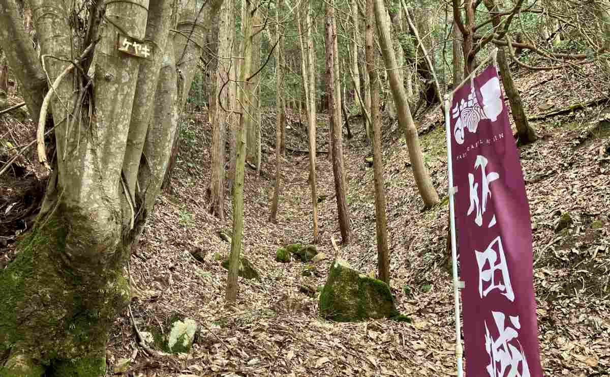 中世城郭時代の竪堀