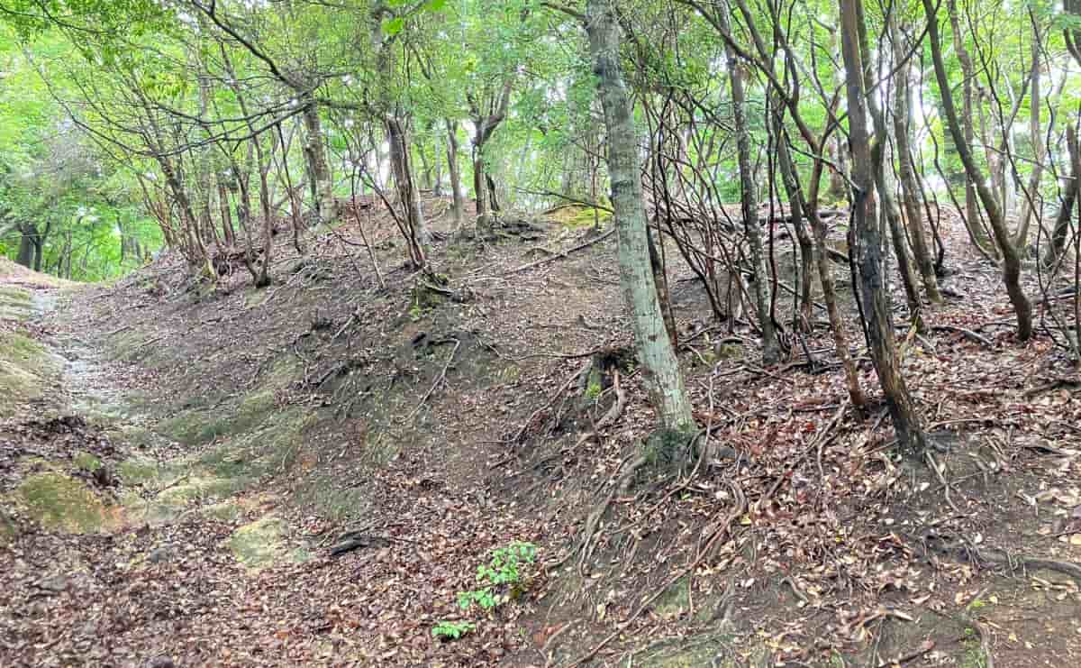 右手が後瀬山城跡の連郭群
