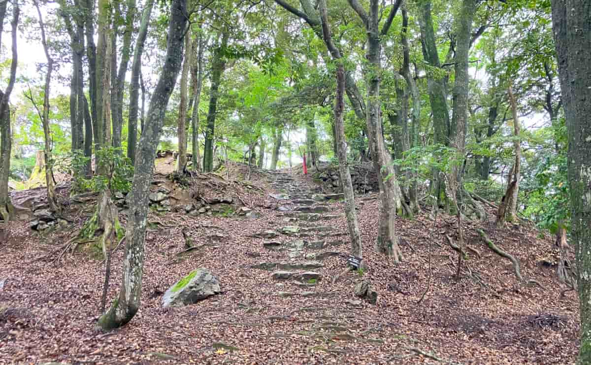 後瀬山城跡の主郭を望む
