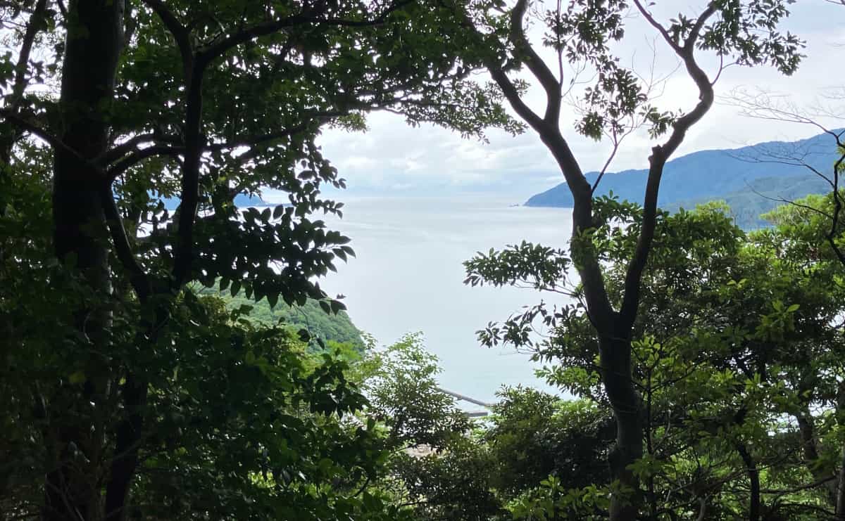 後瀬山城跡主郭周辺から若狭湾を望む
