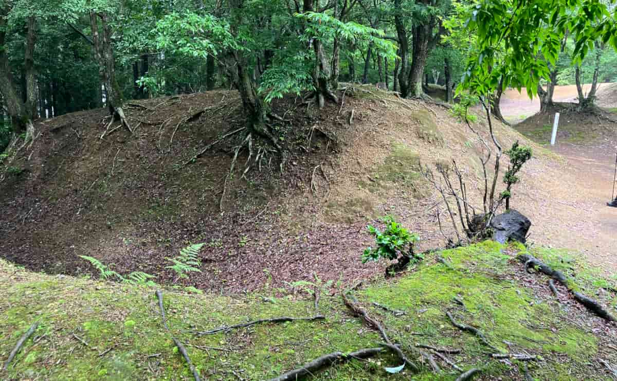 玄蕃尾城跡の郭１から虎口郭を見上げる