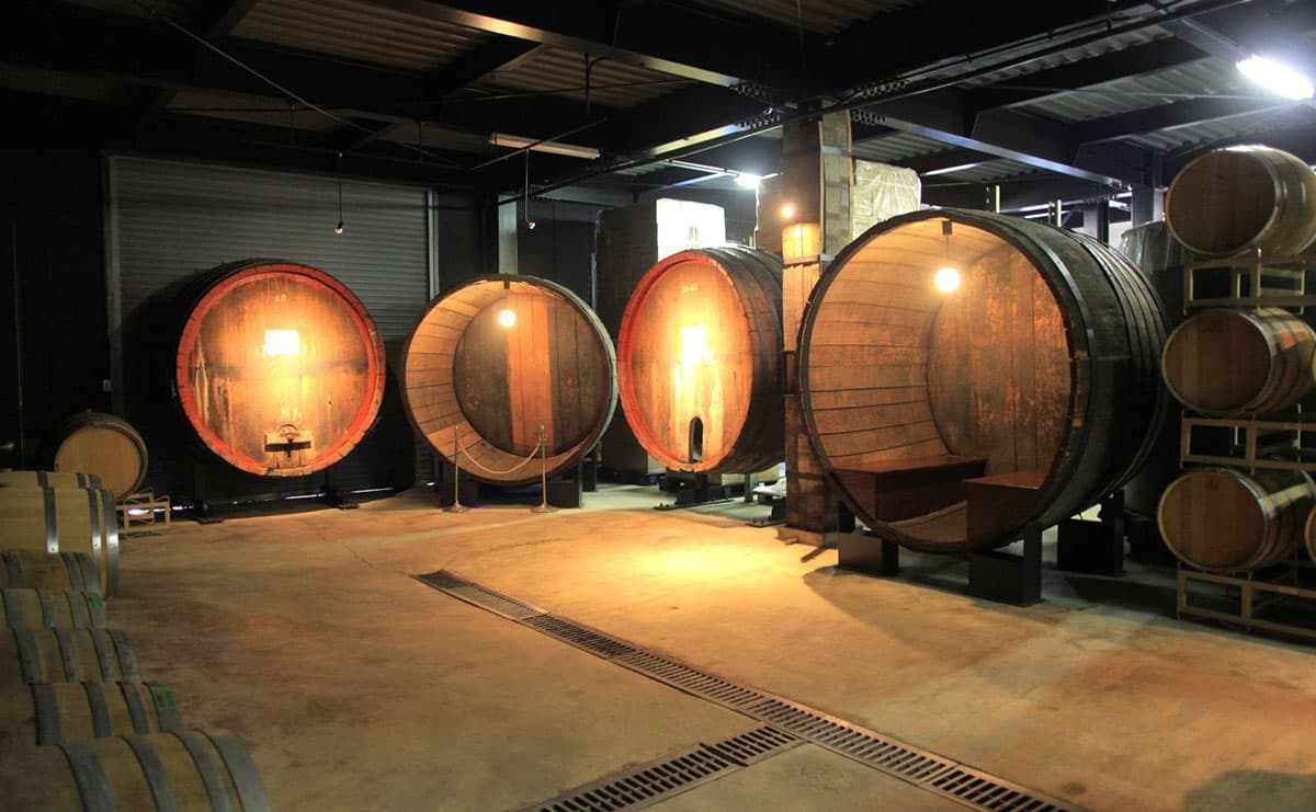 地元産デラウェアにこだわる「河内ワイン」　工場見学や収穫体験...地域とつながり、世界と結ぶ