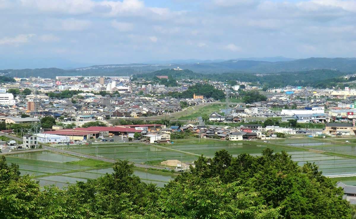 伊賀忍者の携帯食がルーツ？ 素手ではなかなか割れない日本一固い煎餅「かたやき」がすごい