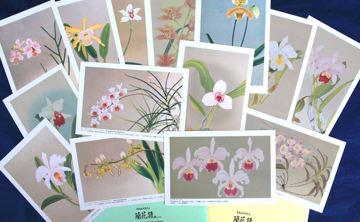 大山崎歴史資料館で販売している「蘭花譜 絵ハガキ」