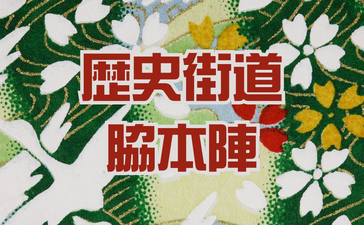 総理大臣になってほしい歴史上の女性は？【投票受付中！】