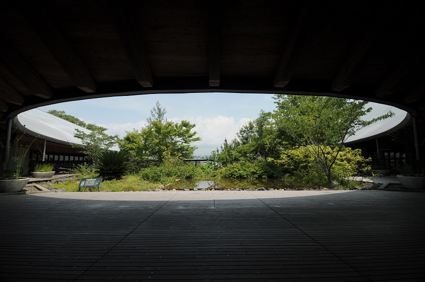 牧野富太郎