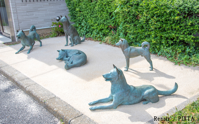 徳川綱吉犬屋敷跡