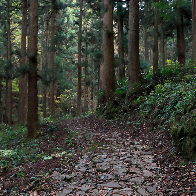 朝倉街道