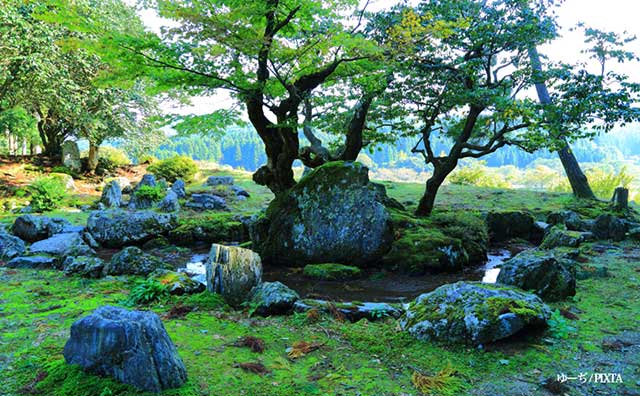 足利義晴～軍事的実力のない将軍の悲しさ