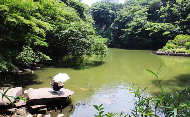 東大三四郎池